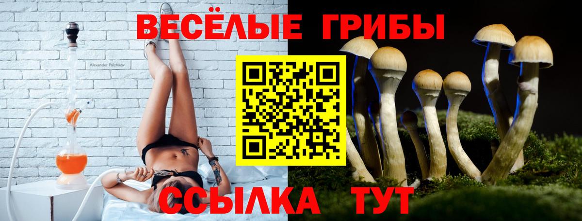 Псилоцибиновые грибы Magic Shrooms  Псилоцибиновые грибы Psilocybe  Шали  Вход с VPN 